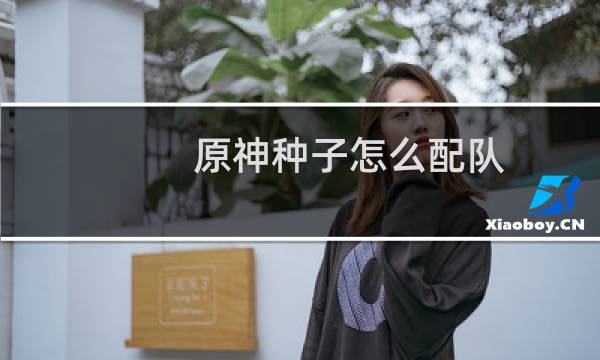 原神种子怎么配队