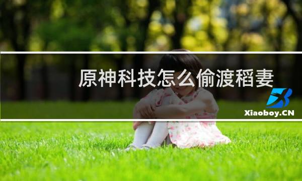 原神科技怎么偷渡稻妻