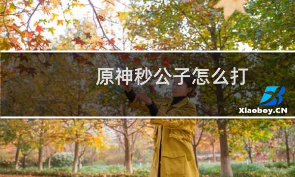原神秒公子怎么打