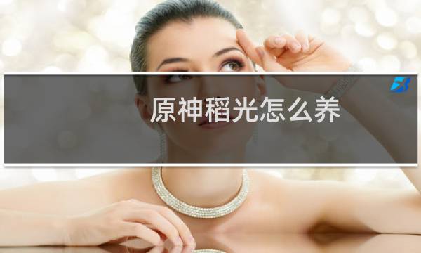 原神稻光怎么养