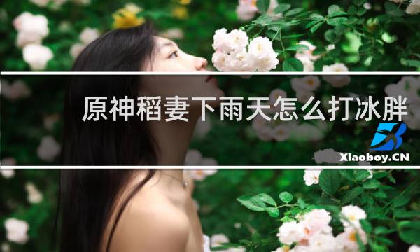 原神稻妻下雨天怎么打冰胖