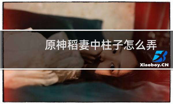 原神稻妻中柱子怎么弄