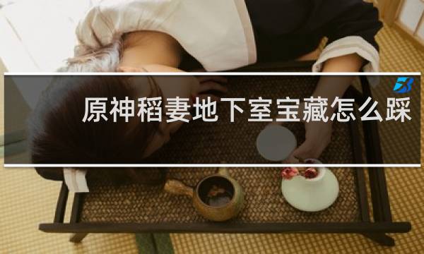 原神稻妻地下室宝藏怎么踩