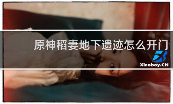 原神稻妻地下遗迹怎么开门