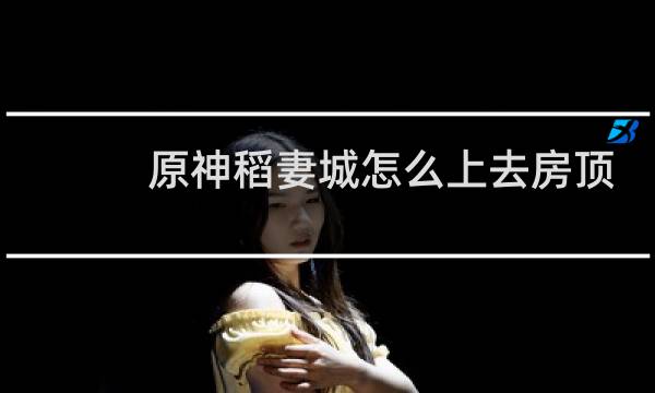 原神稻妻城怎么上去房顶