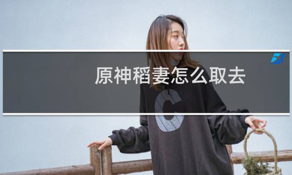 原神稻妻怎么取去
