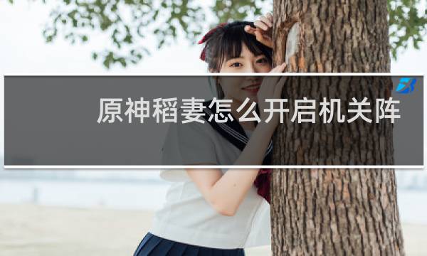 原神稻妻怎么开启机关阵