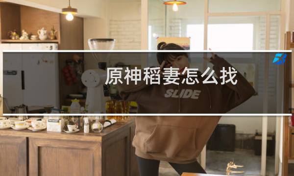 原神稻妻怎么找