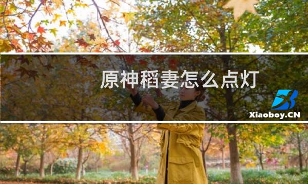 原神稻妻怎么点灯