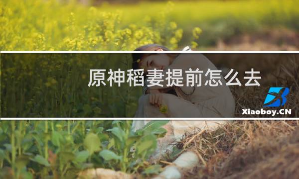 原神稻妻提前怎么去
