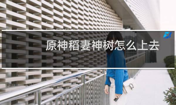 原神稻妻神树怎么上去