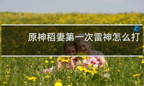 原神稻妻第一次雷神怎么打
