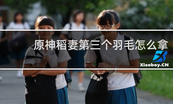 原神稻妻第三个羽毛怎么拿