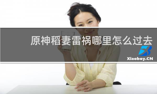 原神稻妻雷祸哪里怎么过去