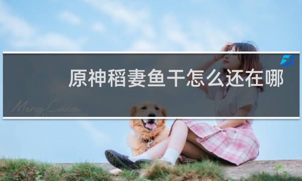 原神稻妻鱼干怎么还在哪