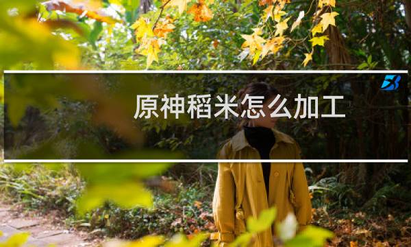 原神稻米怎么加工