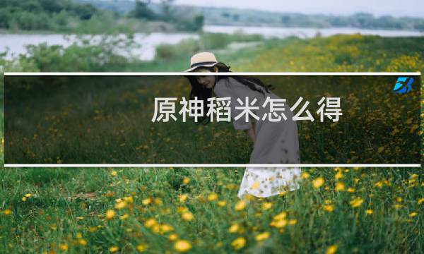 原神稻米怎么得