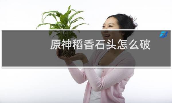 原神稻香石头怎么破