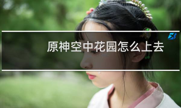 原神空中花园怎么上去