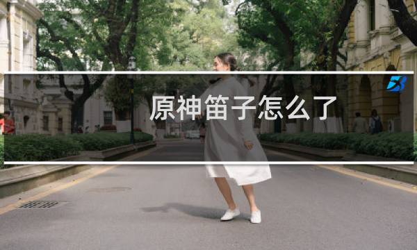 原神笛子怎么了