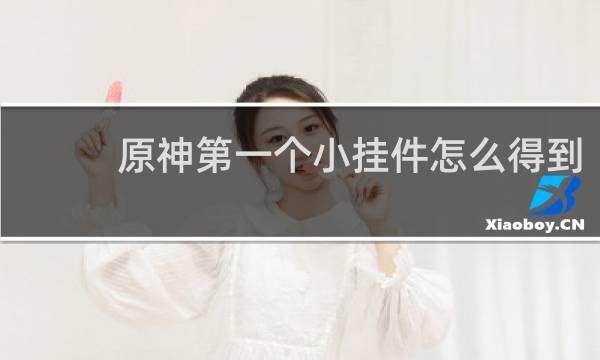 原神第一个小挂件怎么得到