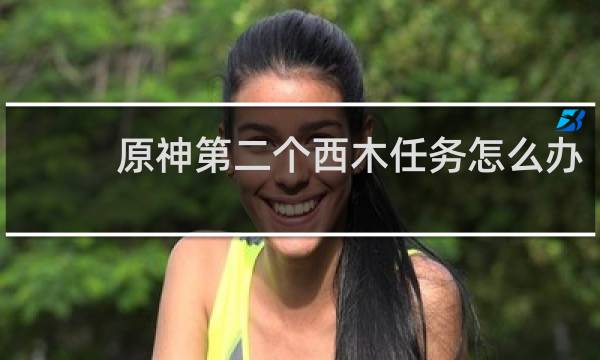 原神第二个西木任务怎么办