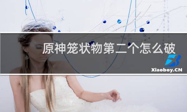 原神笼状物第二个怎么破