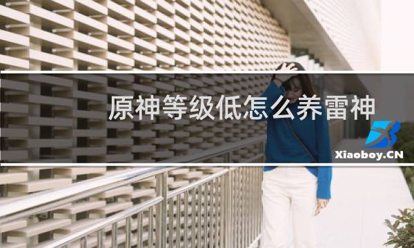 原神等级低怎么养雷神