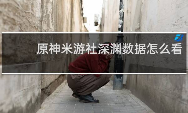 原神米游社深渊数据怎么看