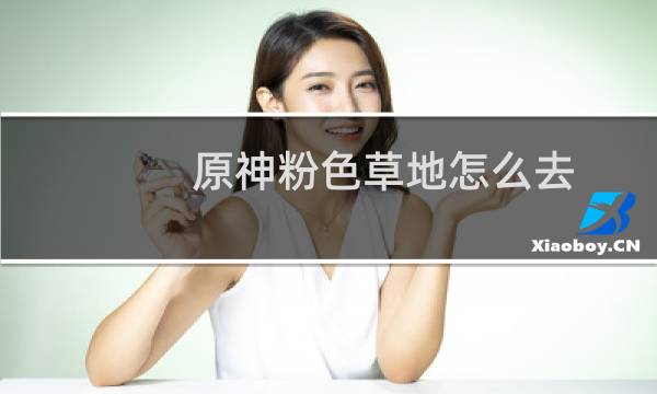 原神粉色草地怎么去