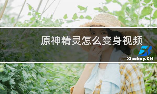 原神精灵怎么变身视频