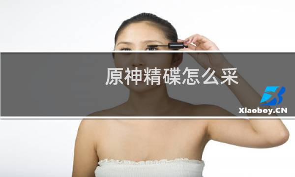 原神精碟怎么采