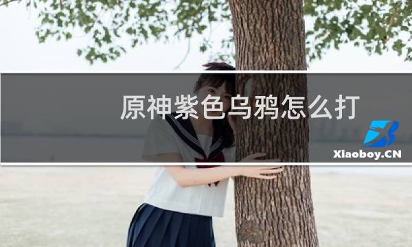 原神紫色乌鸦怎么打