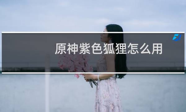 原神紫色狐狸怎么用