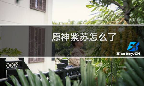 原神紫苏怎么了