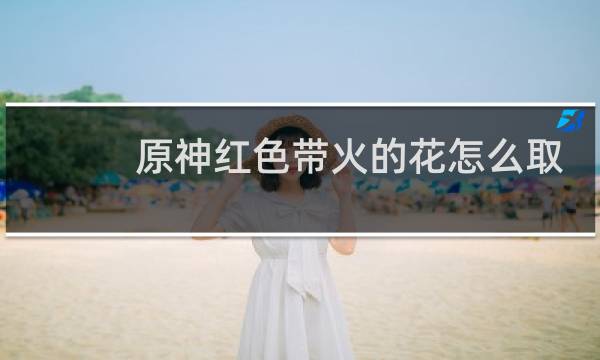 原神红色带火的花怎么取