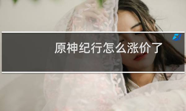 原神纪行怎么涨价了