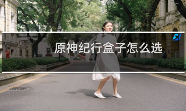 原神纪行盒子怎么选