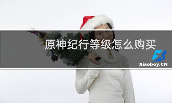 原神纪行等级怎么购买