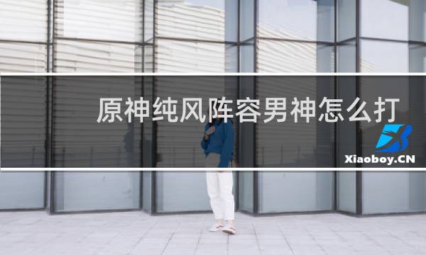 原神纯风阵容男神怎么打