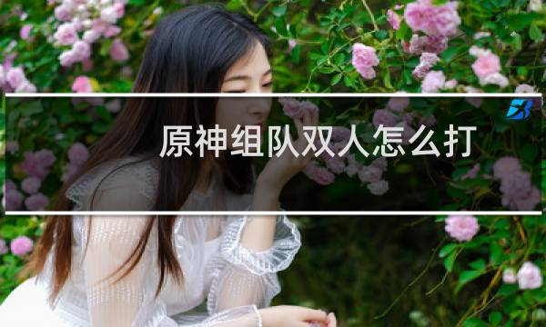 原神组队双人怎么打
