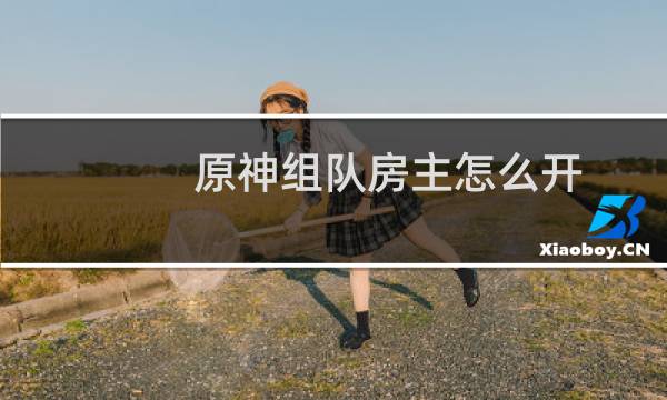 原神组队房主怎么开