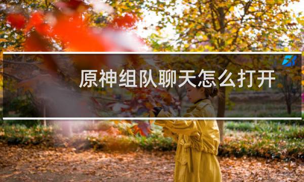 原神组队聊天怎么打开