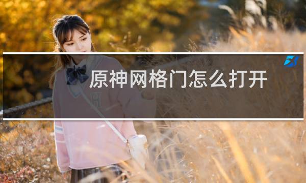 原神网格门怎么打开