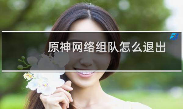 原神网络组队怎么退出
