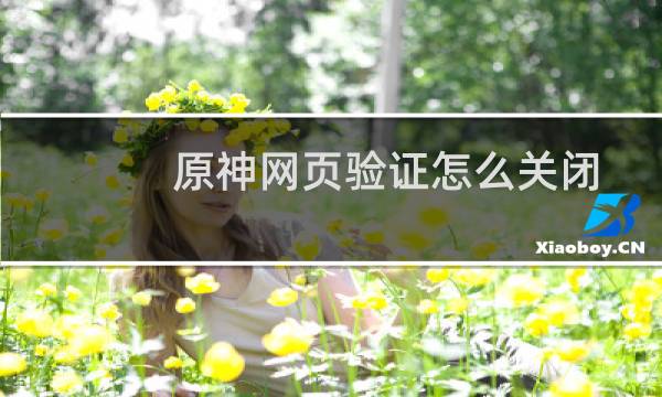 原神网页验证怎么关闭
