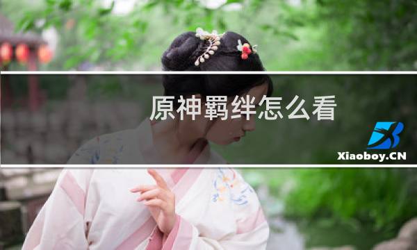 原神羁绊怎么看