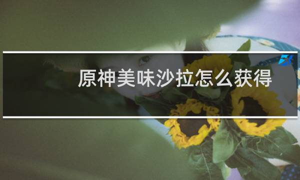 原神美味沙拉怎么获得