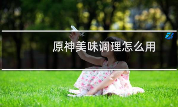原神美味调理怎么用