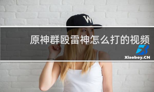 原神群殴雷神怎么打的视频